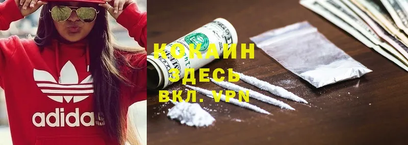 хочу   Кандалакша  COCAIN Перу 